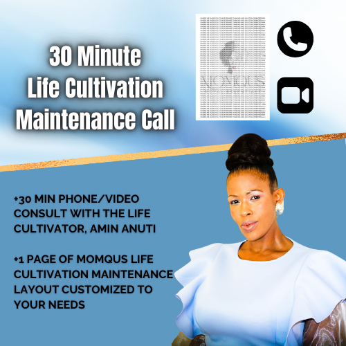 30 MIN CALL CONSULT | 1 PAGE